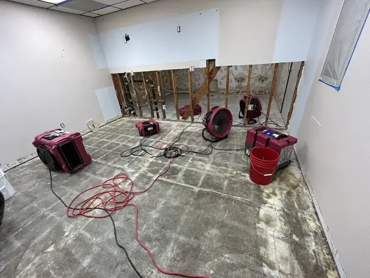 Air movers and a dehumidifier drying a gutted room after water damage in Escondido