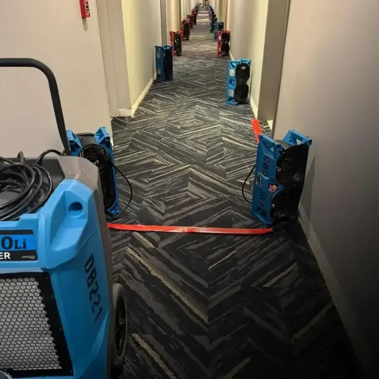Air movers and dehumidifiers lined along a commercial hallway in Escondido